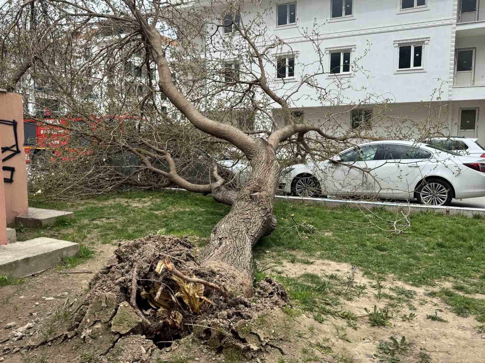 Denizli’de  çatılar uçtu, ağaçlar araçların üzerine devrildi, insanlar yürüyemedi
