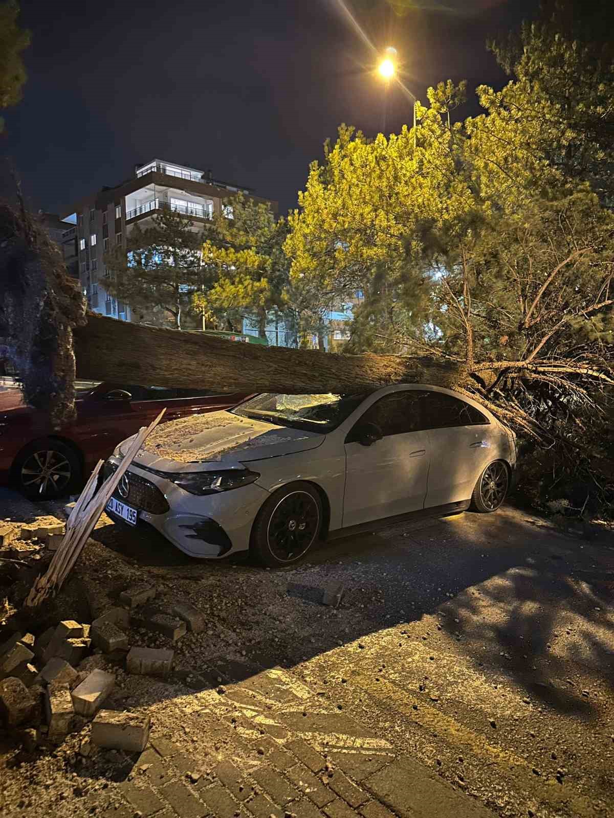 Denizli’de fırtına ağaçları devirdi, çatıları uçurdu
