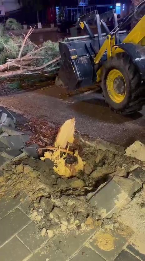 Denizli’de fırtına ağaçları devirdi, çatıları uçurdu
