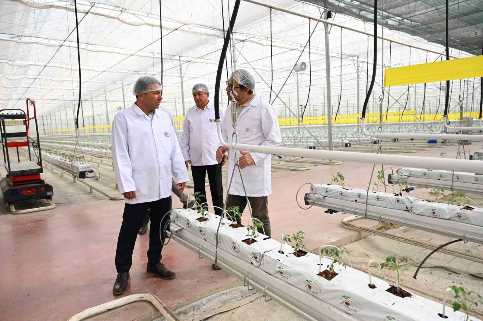 Denizli’nin 2025 bitkisel üretim tablosu yüz güldürdü
Denizli’nin 2025 bitkisel üretim tablosu yüz güldürdü