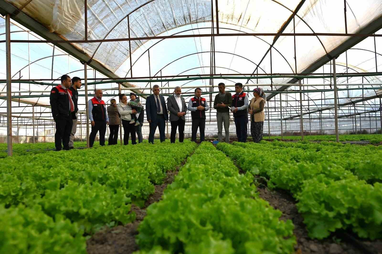 Denizli’nin 2025 bitkisel üretim tablosu yüz güldürdü
Denizli’nin 2025 bitkisel üretim tablosu yüz güldürdü