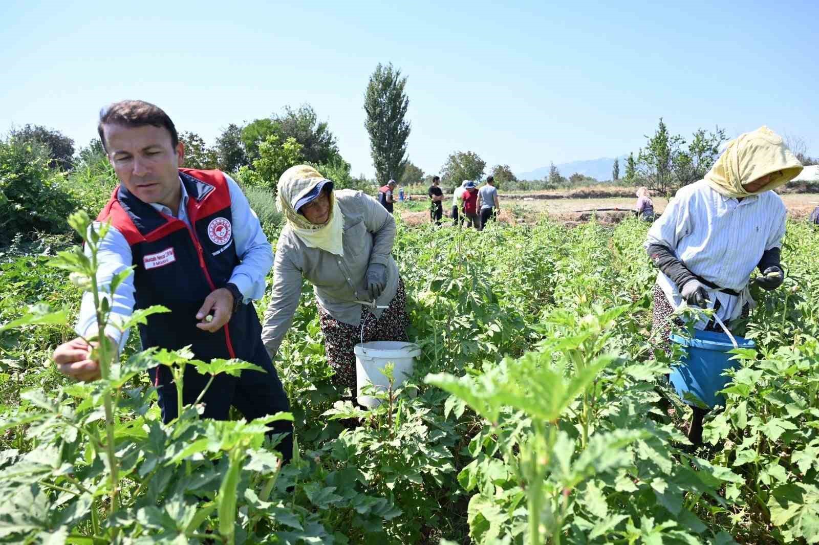 Denizli’nin 2025 bitkisel üretim tablosu yüz güldürdü
Denizli’nin 2025 bitkisel üretim tablosu yüz güldürdü