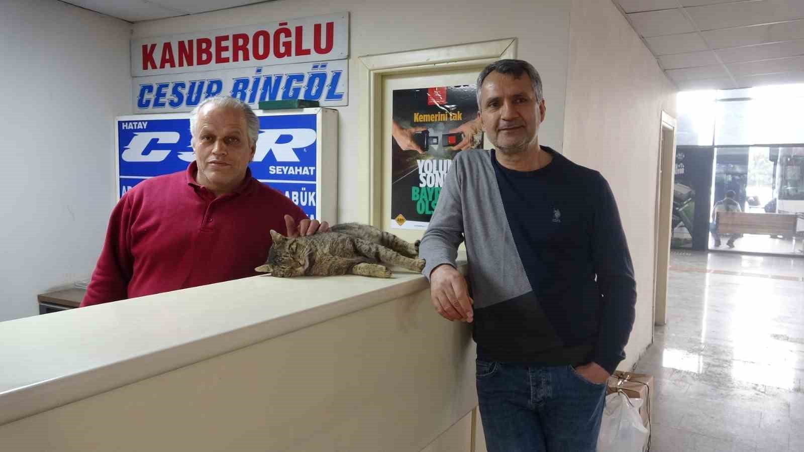 Depremde kaybolan ve 44 gün sonra ‘Kadir’ diyerek bulabildiği otogarın maskotu kedisine gözü gibi bakıyor
