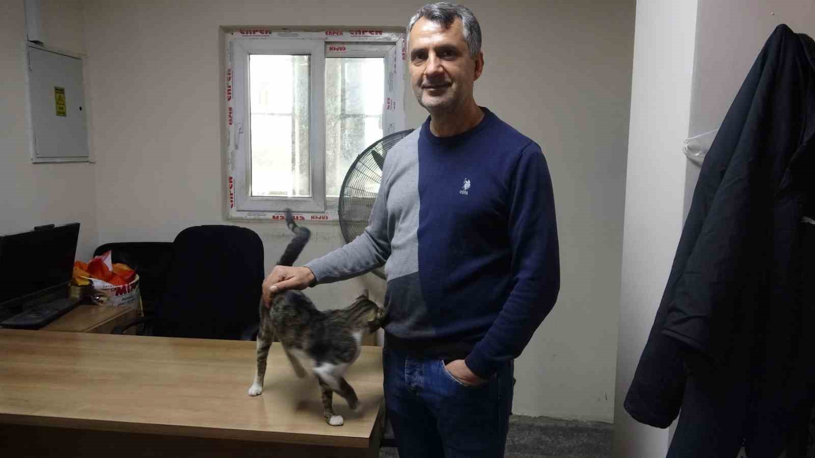 Depremde kaybolan ve 44 gün sonra ‘Kadir’ diyerek bulabildiği otogarın maskotu kedisine gözü gibi bakıyor
