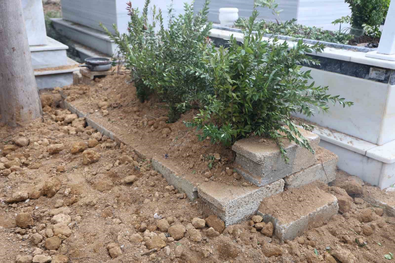 Depremle birlikte öksüz ve yetim kalan siyam ikizi kardeşleri 9 yaşında ölüm ayırdı
