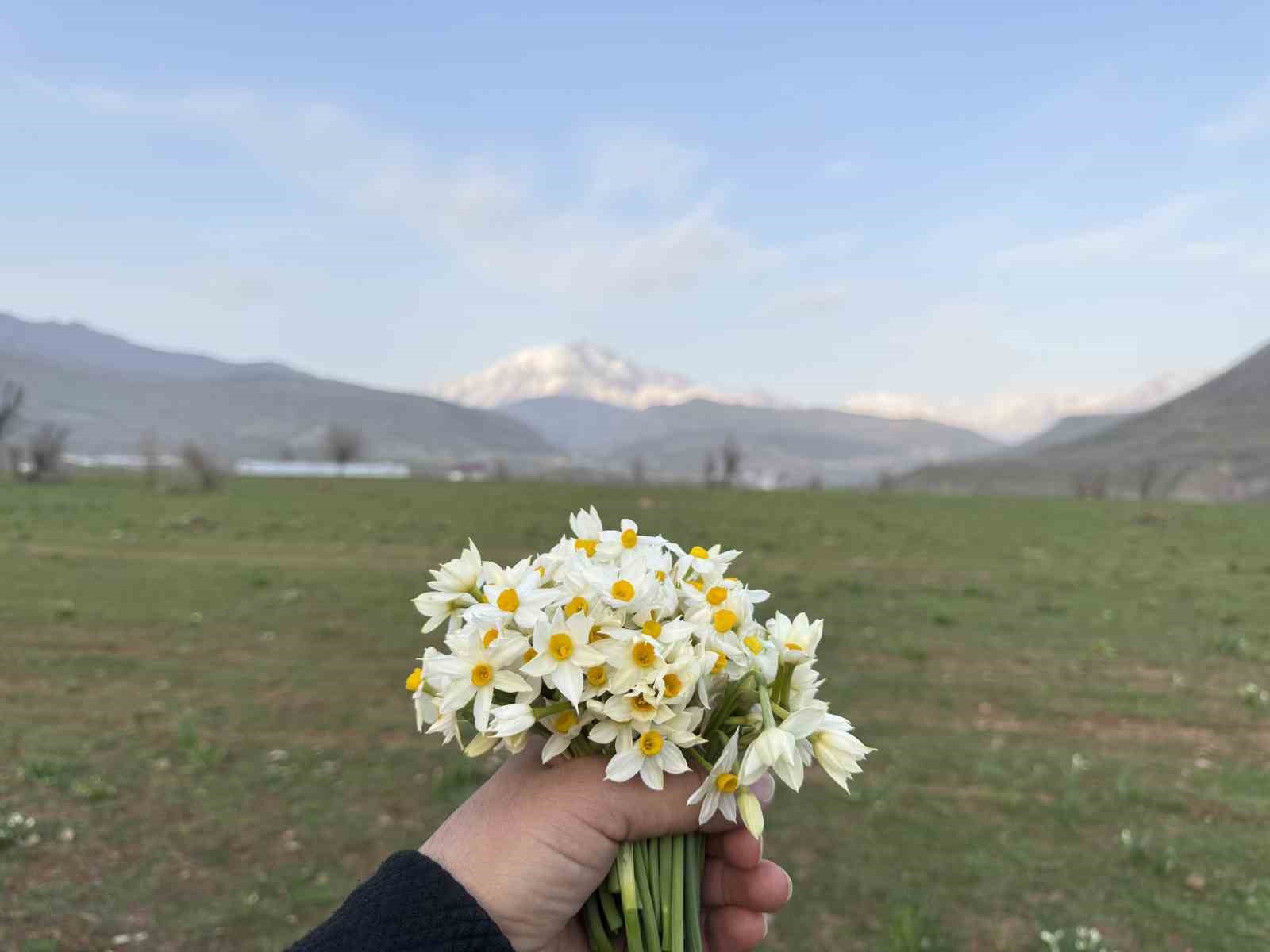 Derecik ilçesinde bahar yüzünü gösterdi
