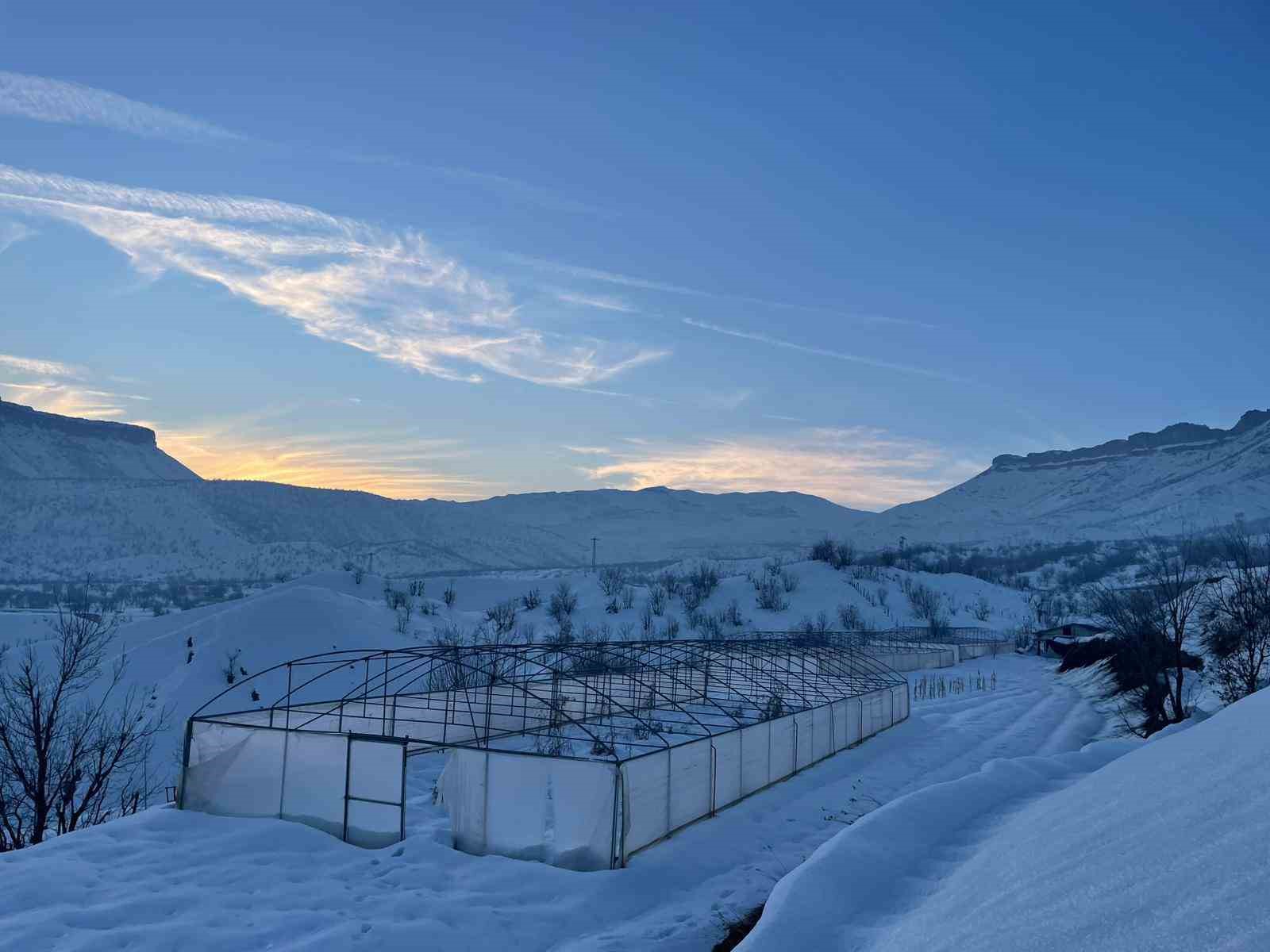 Derecik’te kardan dolayı 38 sera zara gördü
