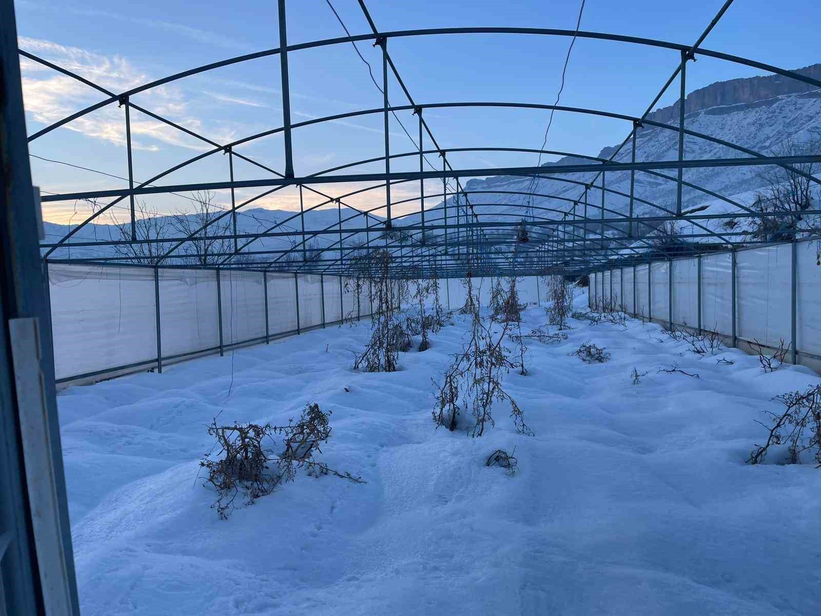 Derecik’te kardan dolayı 38 sera zara gördü
