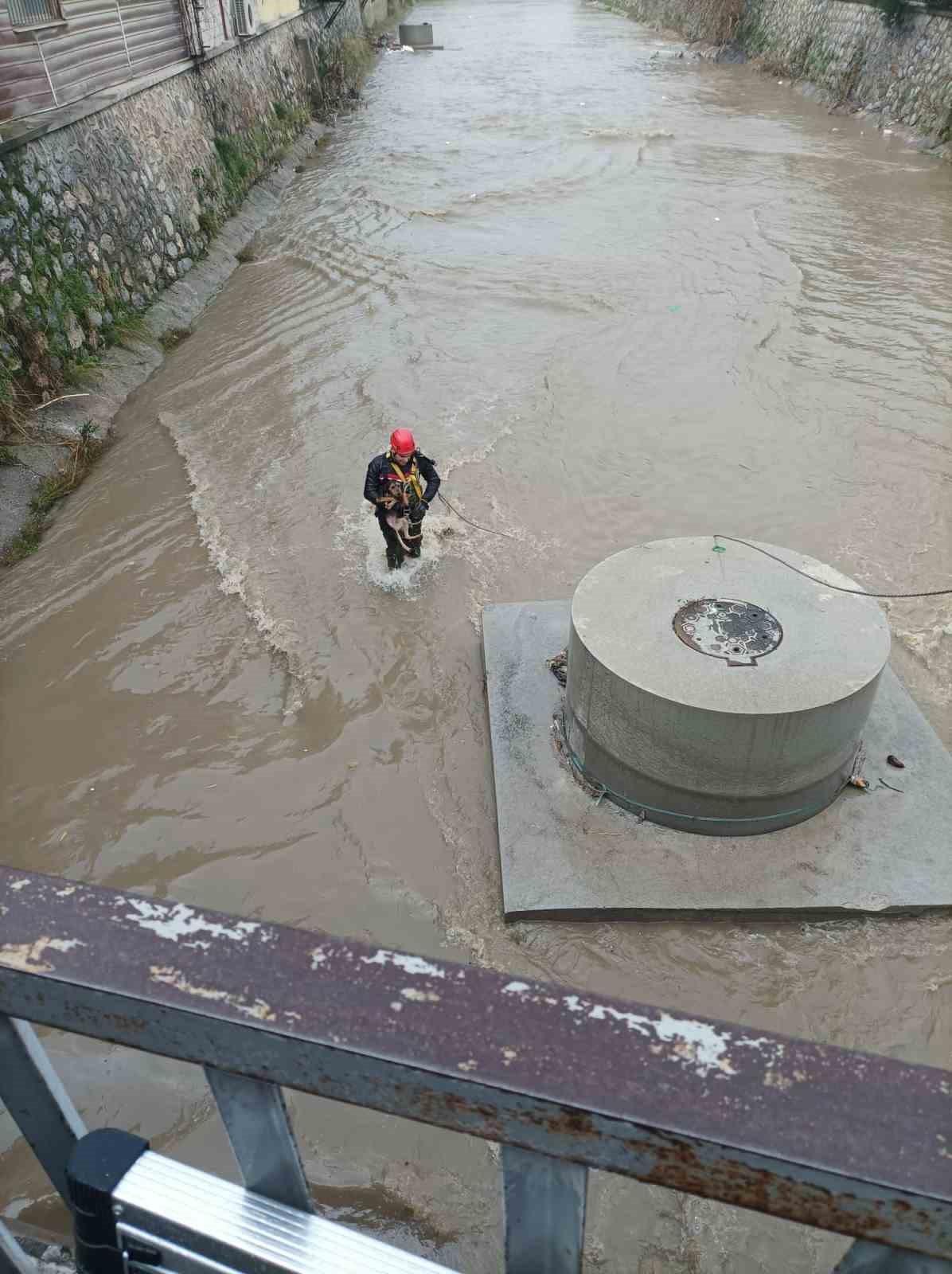 Dereye düşen köpek itfaiye tarafından kurtarıldı
