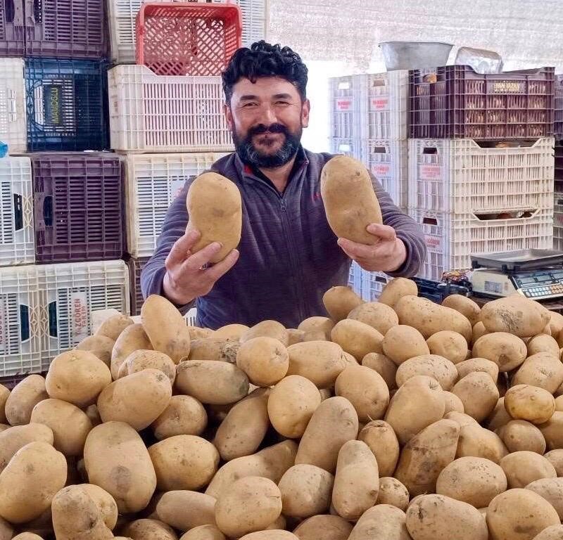 Dev patatesler pazarın ilgi odağı oldu
Dev patatesler pazarın ilgi odağı oldu