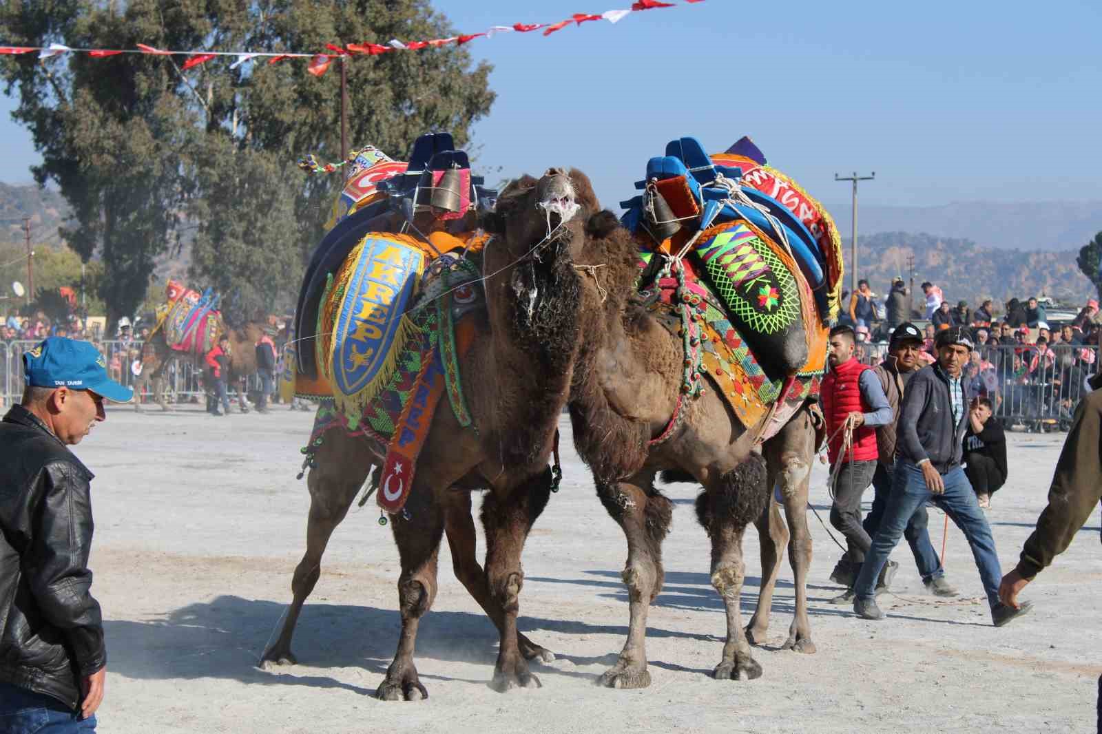 Deve güreşlerinde, "Bu sene mangal yakılmayacak, basın mensupları dışarıya çıkarılacak"
