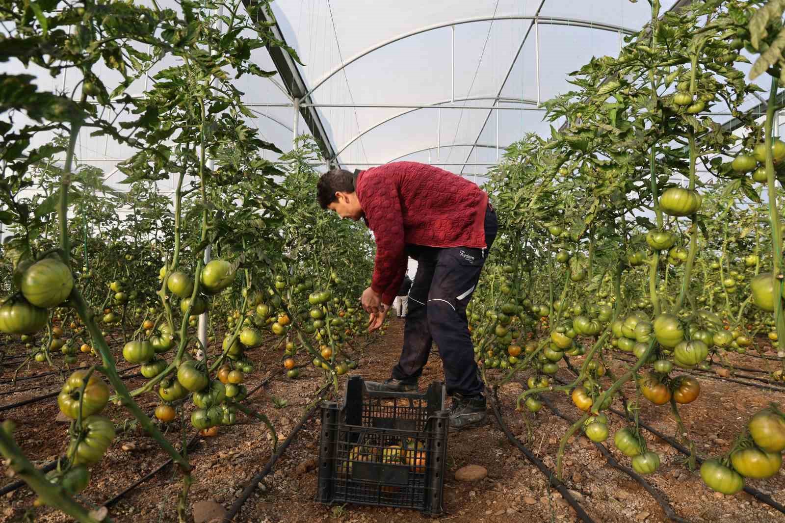 Devlet desteğiyle kendi işlerinin sahibi oldular, üretime başladılar
