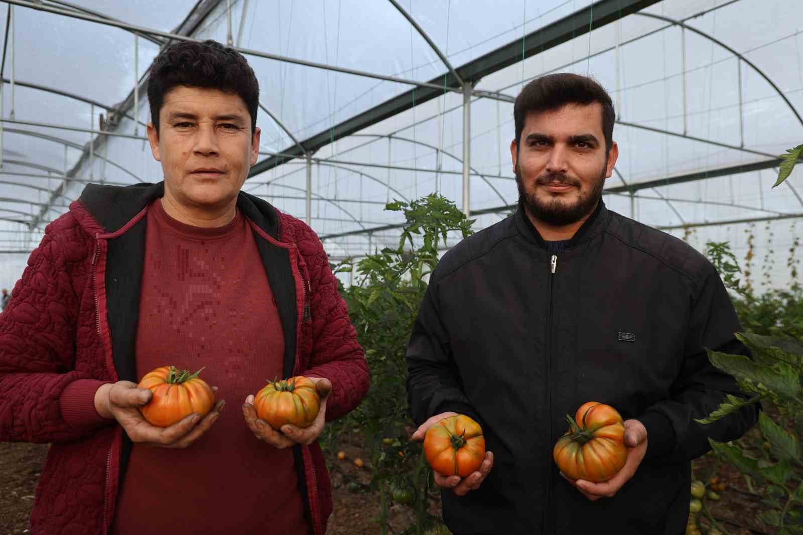 Devlet desteğiyle kendi işlerinin sahibi oldular, üretime başladılar
