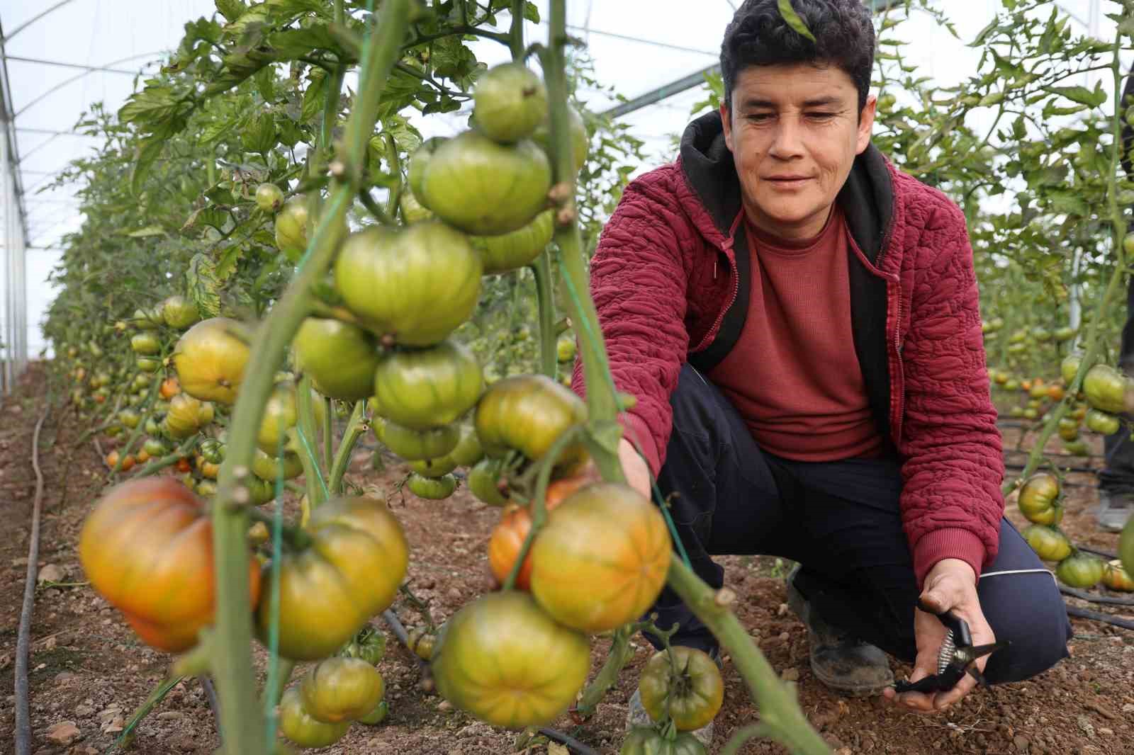 Devlet desteğiyle kendi işlerinin sahibi oldular, üretime başladılar
