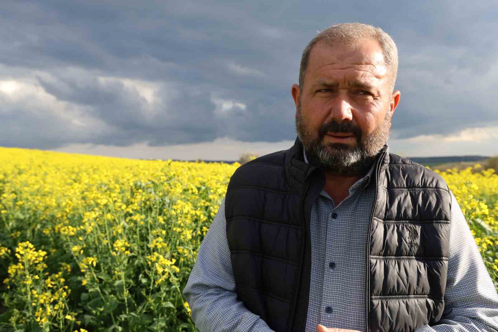 Devlet destekli kanola üretimi Adanalı çiftçinin yüzünü güldürdü
