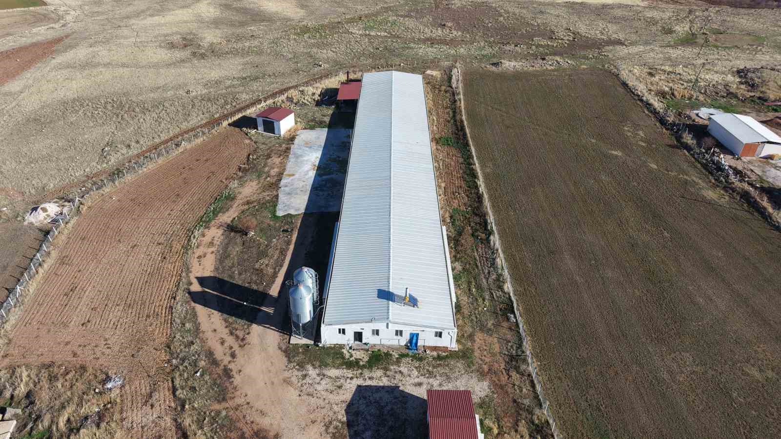 Devletten aldığı destekle ikinci çiftliğini açtı
