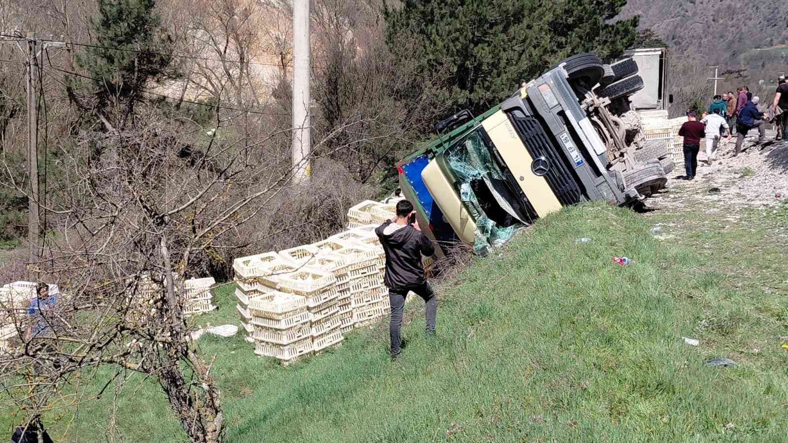 Devrilen kamyondan sürücü kurtuldu, onlarca tavuk telef oldu
