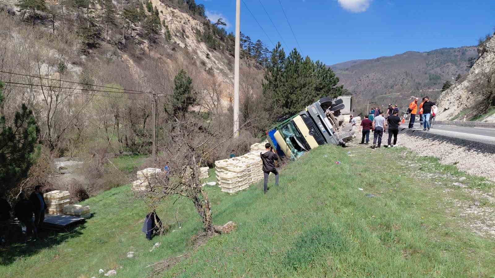 Devrilen kamyondan sürücü kurtuldu, onlarca tavuk telef oldu
