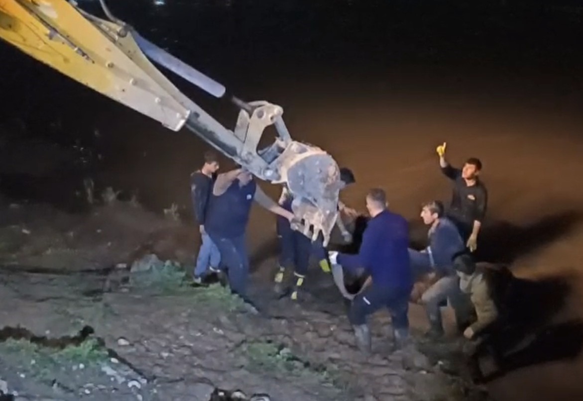 Dicle Nehri’ne düşen ineği itfaiye iş makinesiyle kurtardı
