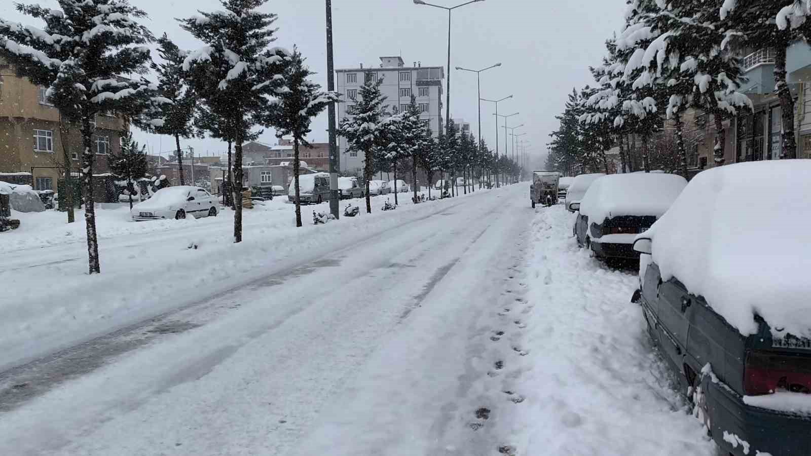 Dicle’de yoğun kar hayatı olumsuz etkiledi
