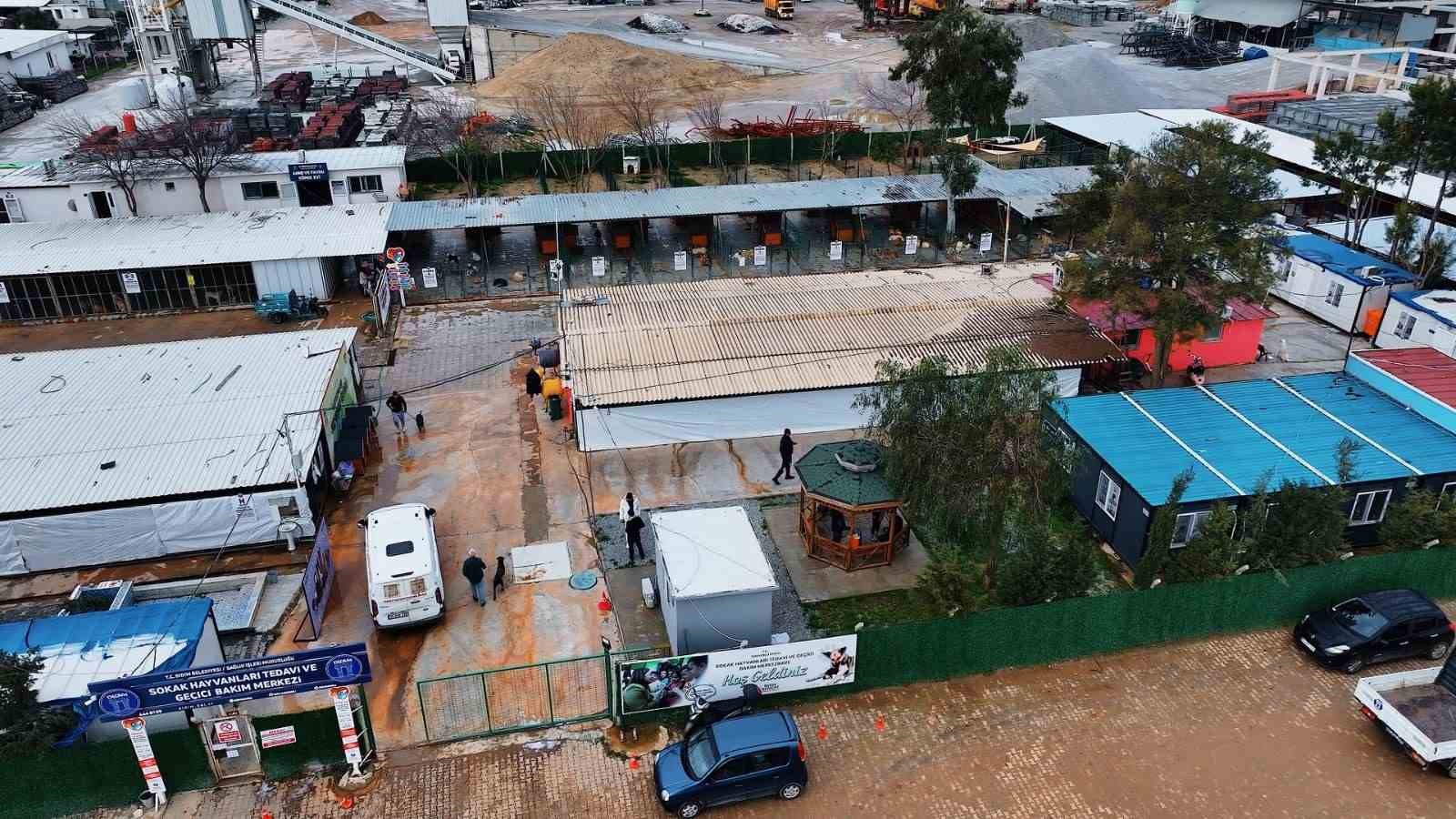 Didim Belediyesi can dostlar için mama üretiminde kapasiteyi artırdı
