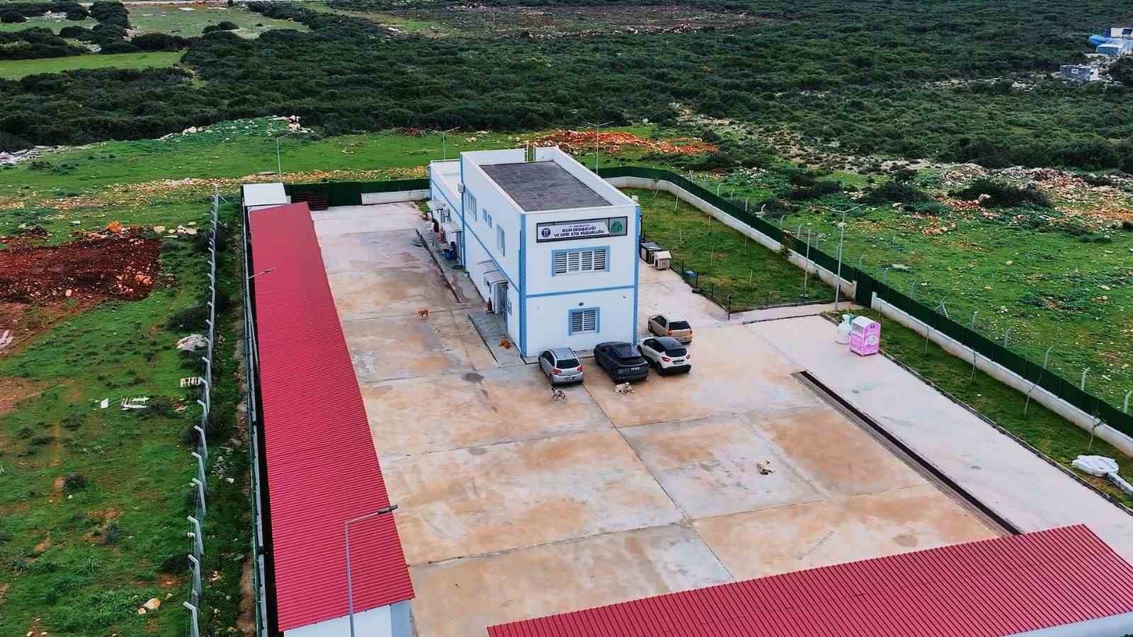 Didim Belediyesi can dostlar için mama üretiminde kapasiteyi artırdı
