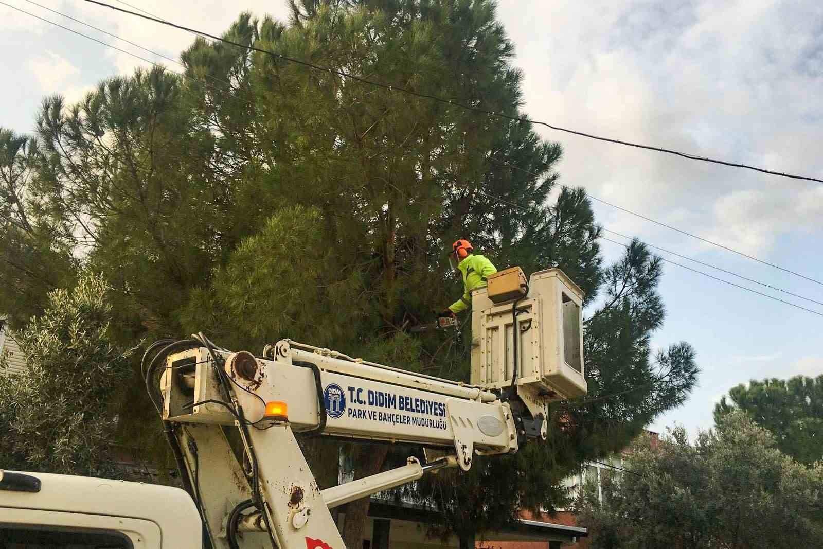 Didim Belediyesi ilçe genelinde çalışmalarını sürdürüyor
