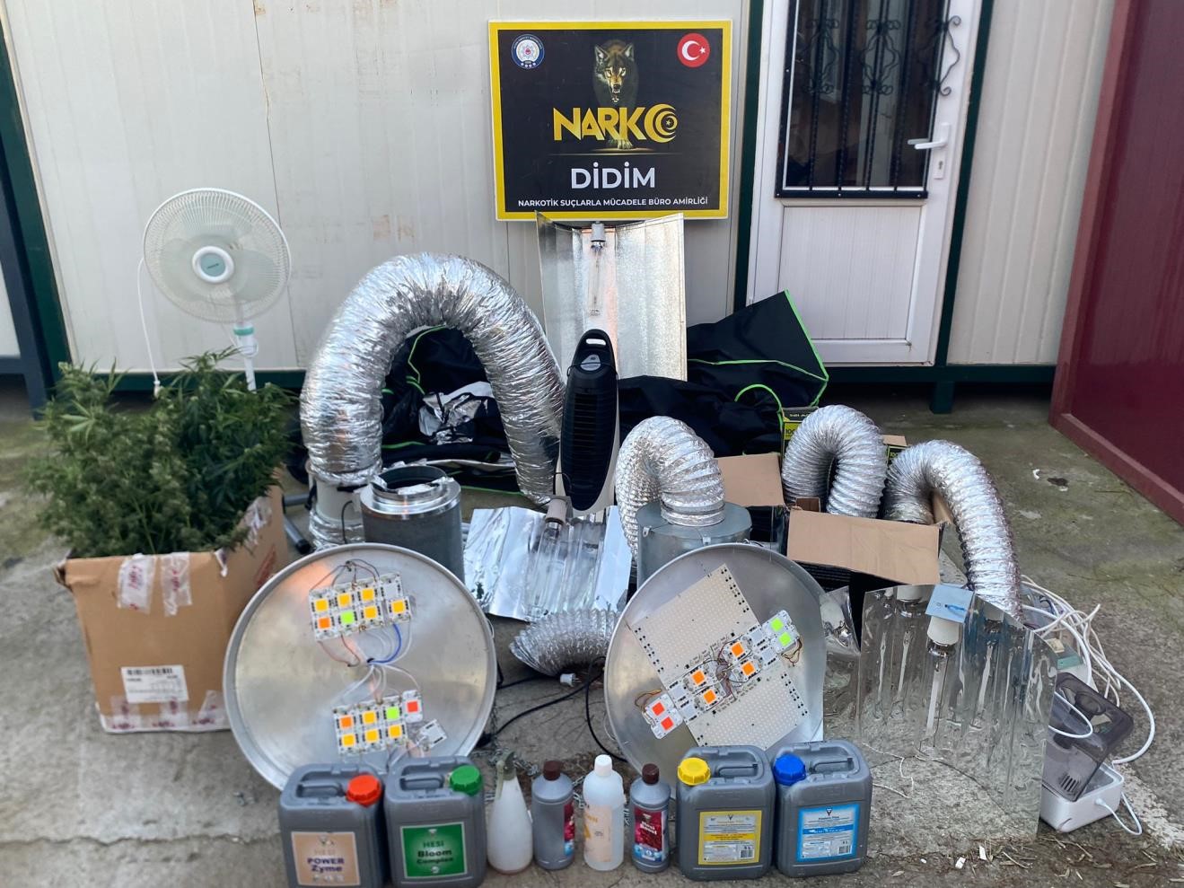 Didim’de uyuşturucu operasyonu: Kenevir yetiştirme kabini ele geçirildi
