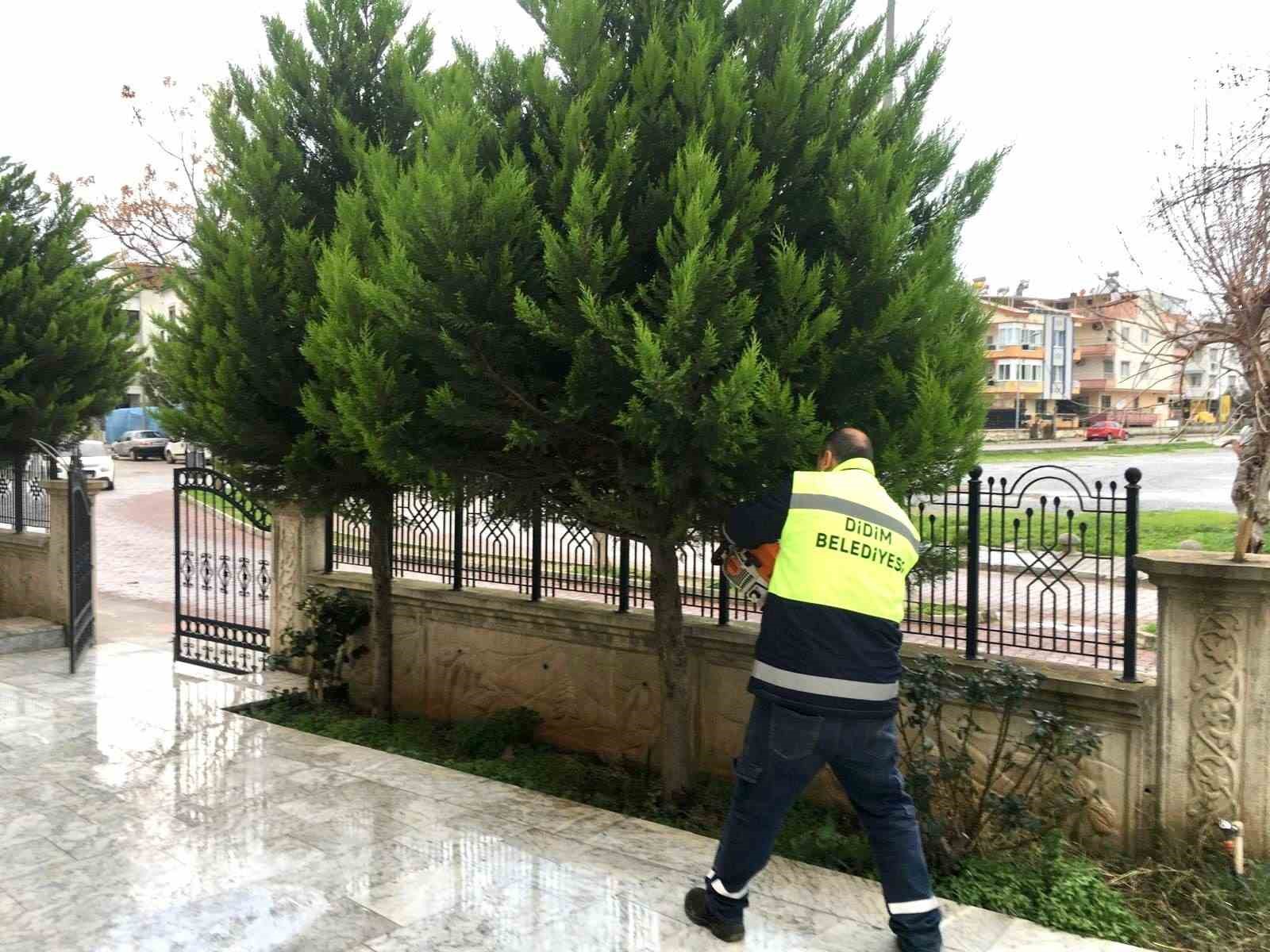 Didim’deki camilerde Ramazan ayı öncesi temizlik çalışmaları yoğunlaştırıldı
