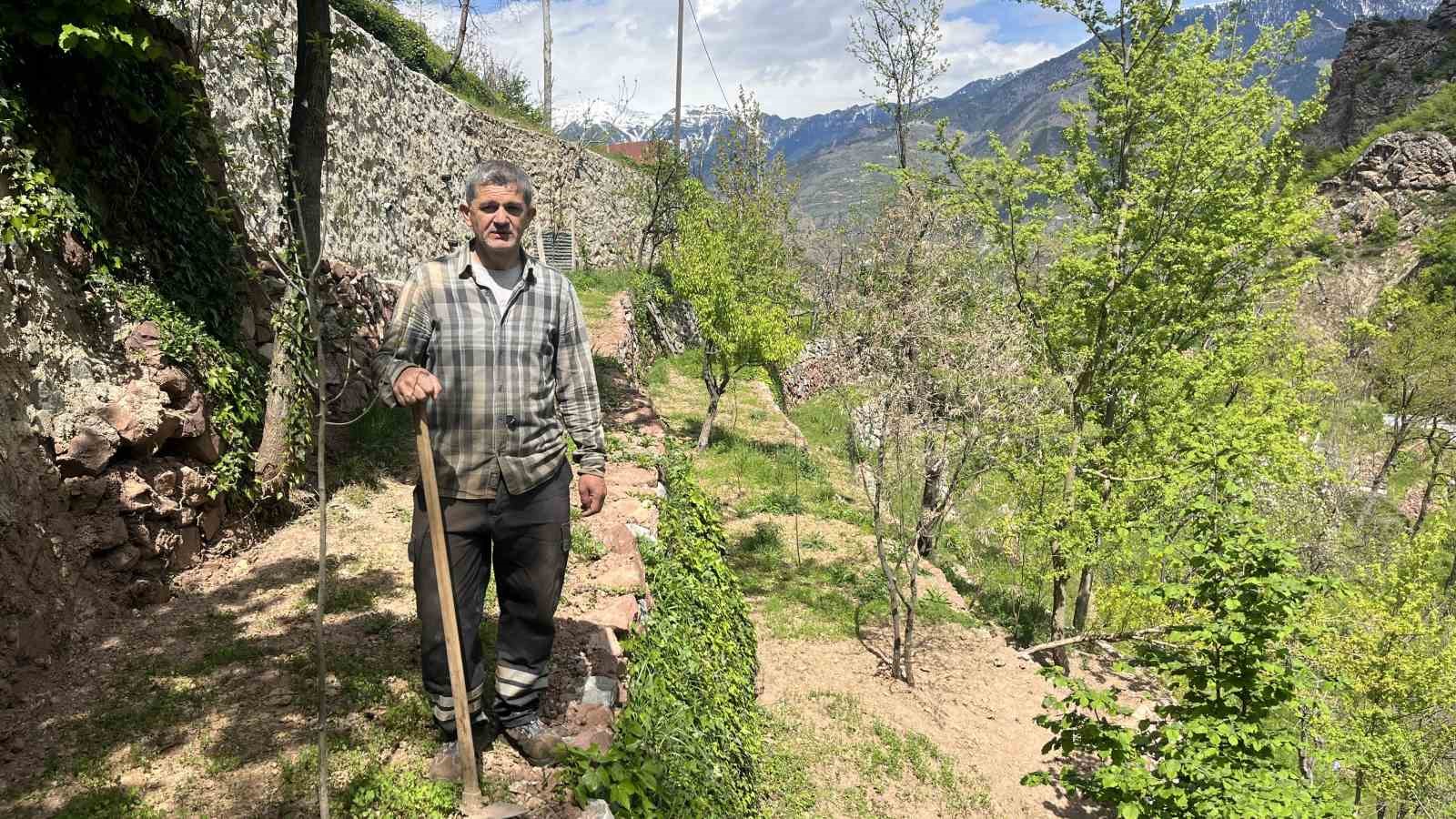 Dik yamaçta 60 yıllık emek, taş duvarlarla kurulan miras
