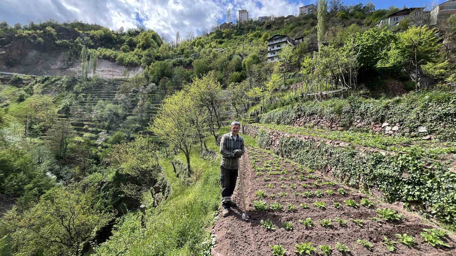 Dik yamaçta 60 yıllık emek, taş duvarlarla kurulan miras

