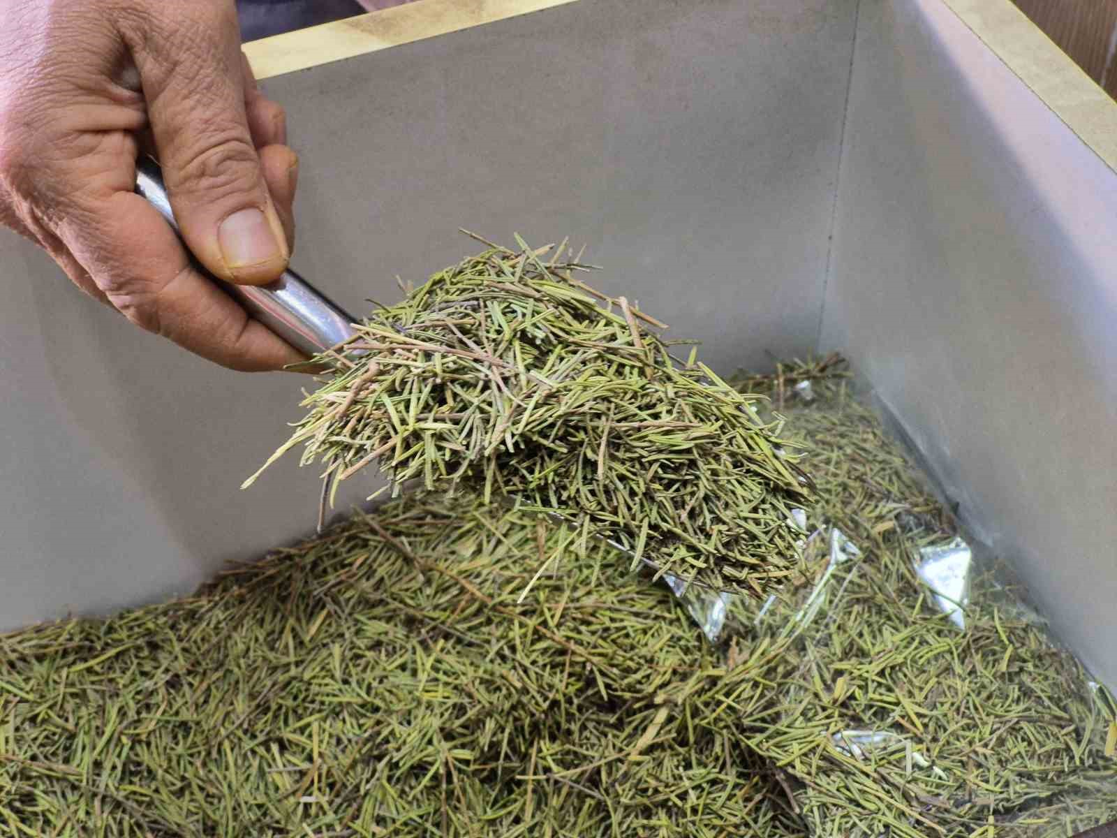 Dikkat dağınıklığı için kullanılabilecek bitkisel ürünler
