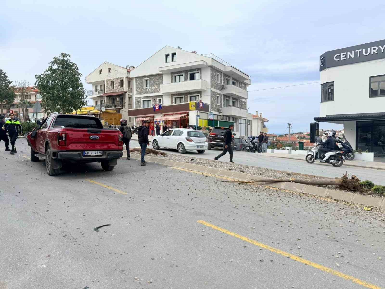 Direksiyon hakimiyetini kaybetti, 2 ağaç ve elektrik direğini yerinden söktü
