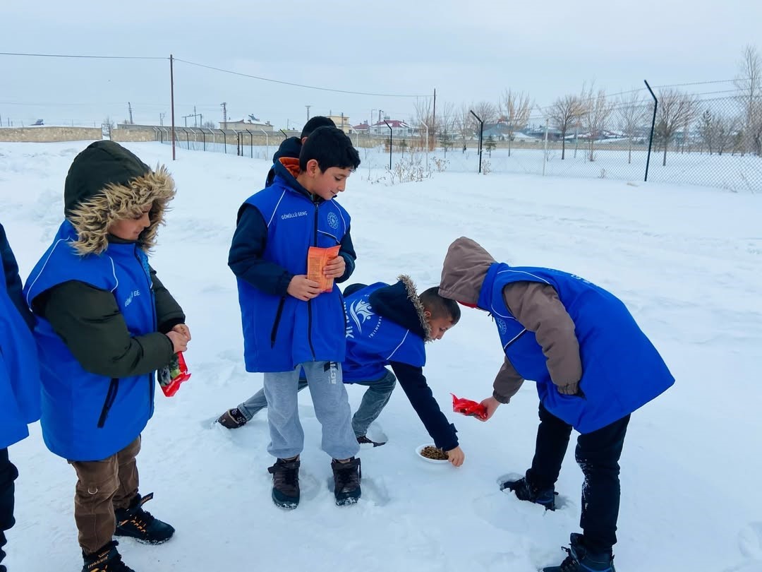 Diyadin’de gençlerden sokak hayvanlarına anlamlı destek

