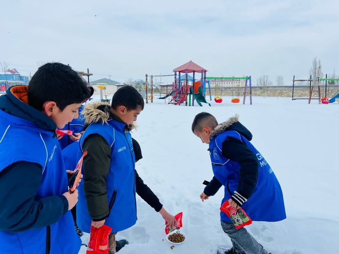 Diyadin’de gençlerden sokak hayvanlarına anlamlı destek
