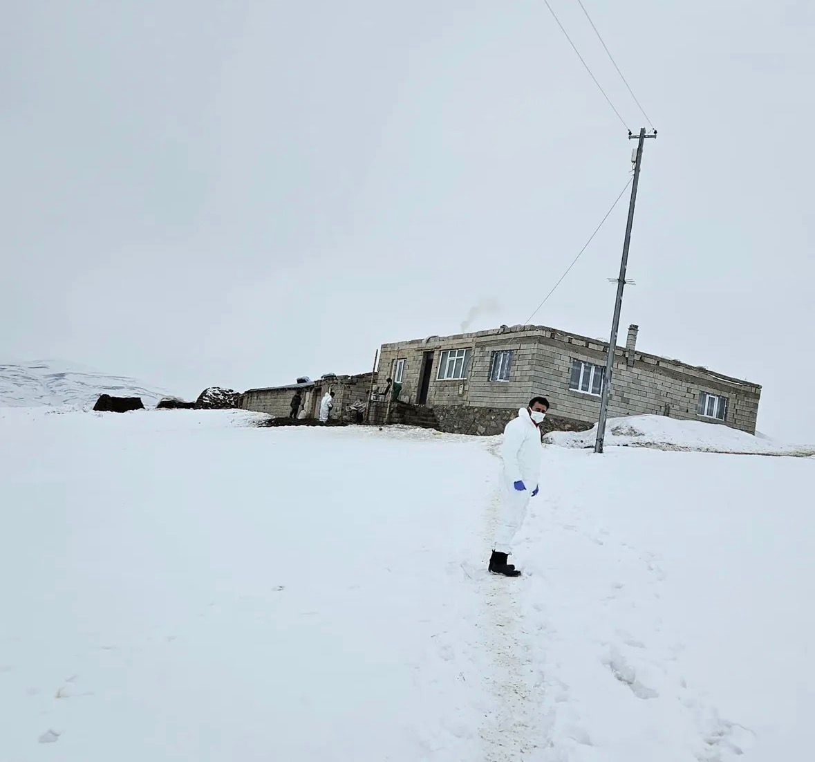 Diyadin’de köpeklere kuduz aşısı uygulaması başladı
