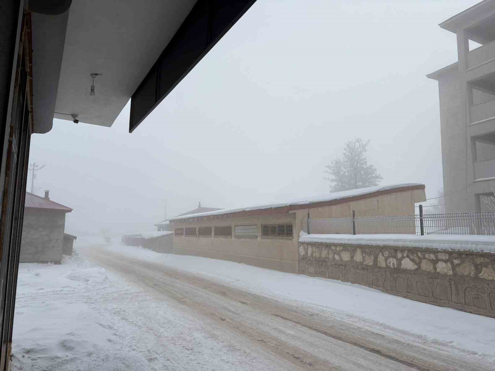 Diyadin’de yoğun sis etkili oldu
