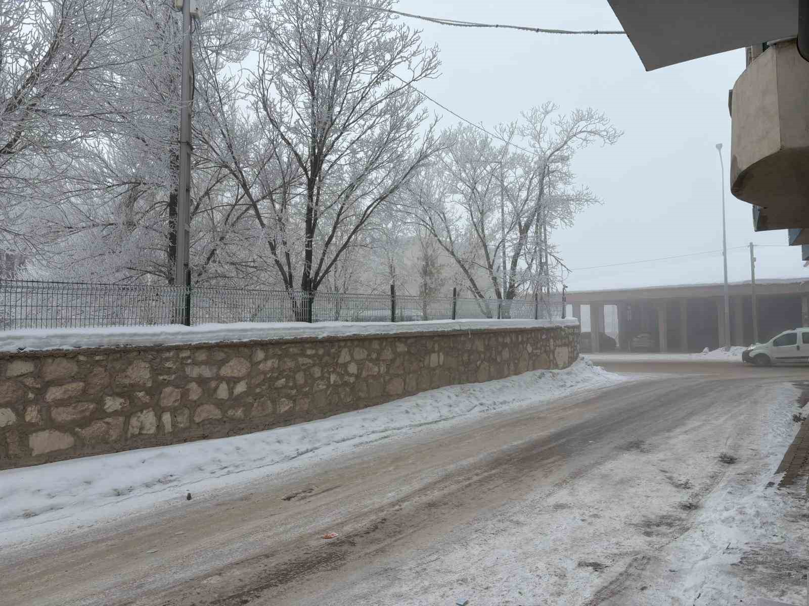 Diyadin’de yoğun sis etkili oldu
