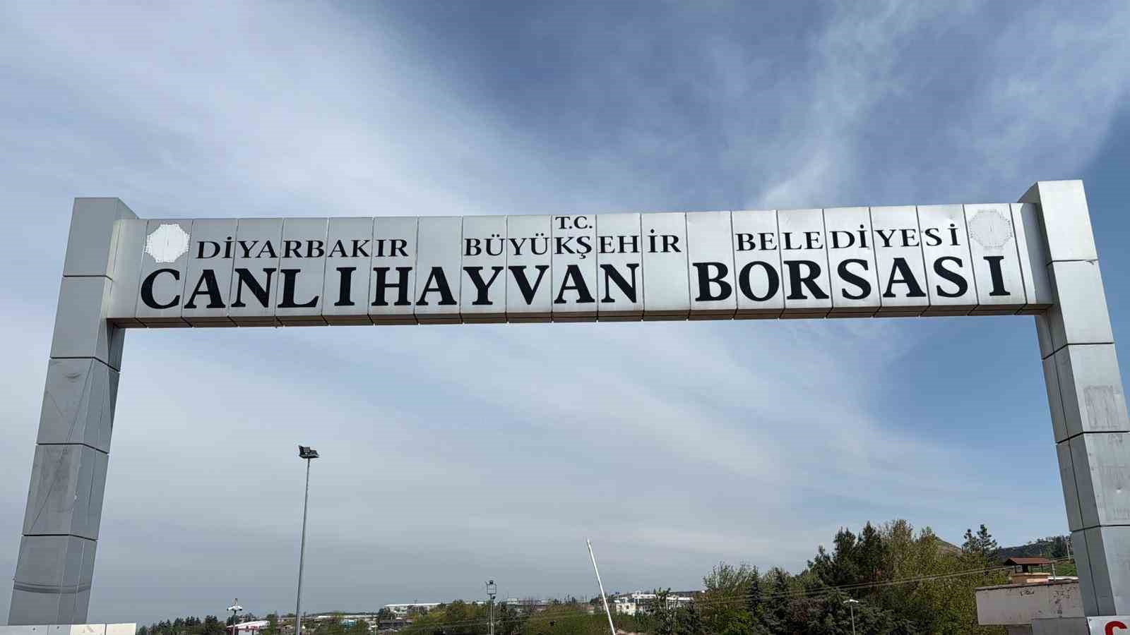 Diyarbakır Canlı Hayvan Borsası tadilata alındı
