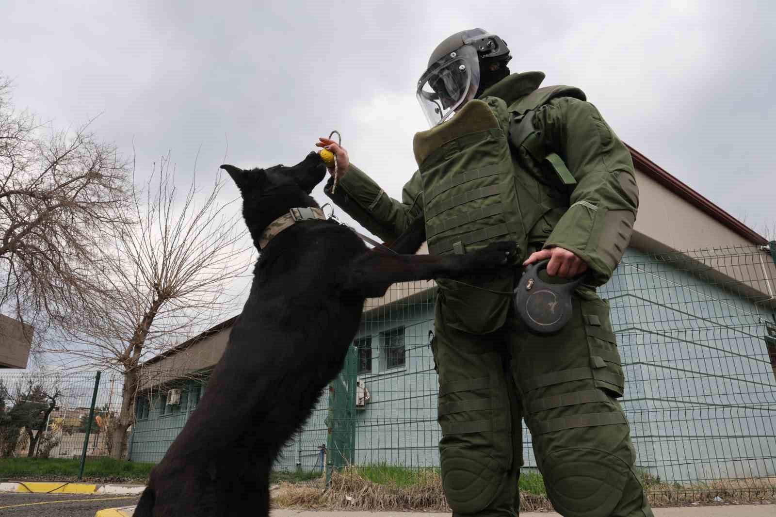 Diyarbakır Emniyeti’nin bu birimindeki kadınlar detaycılıklarıyla olayları aydınlatıyor
