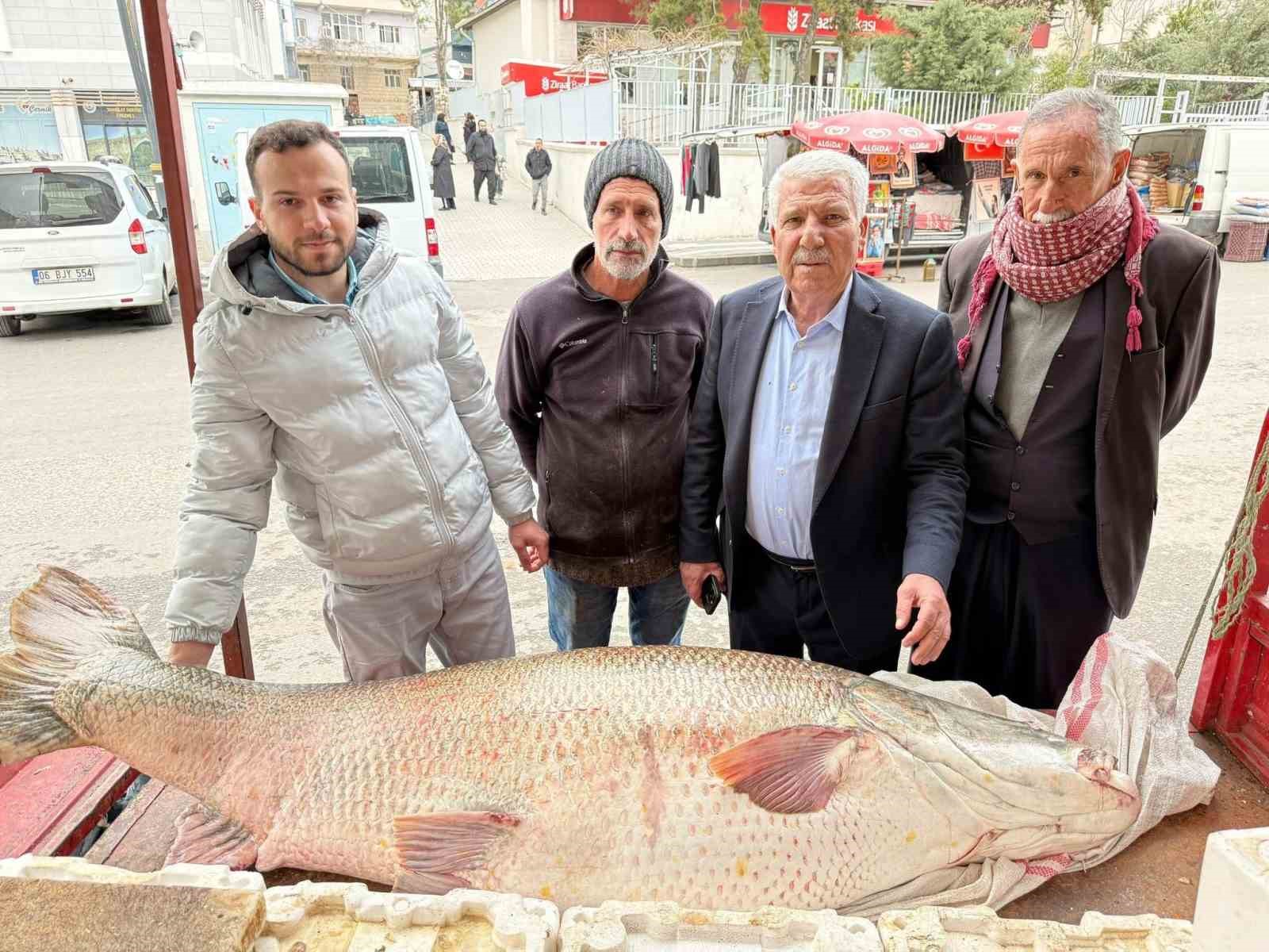 Diyarbakır’da 120 kiloluk turna balığı görenleri hayrete düşürdü
