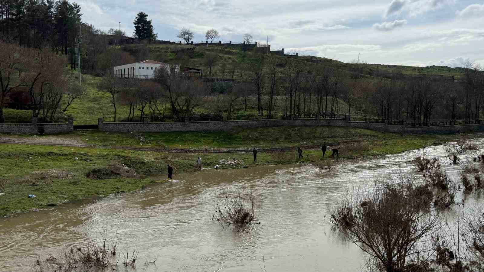 Diyarbakır’da aşırı yağışlar sonrası suyun geri çekilmesiyle balıklar telef oldu
