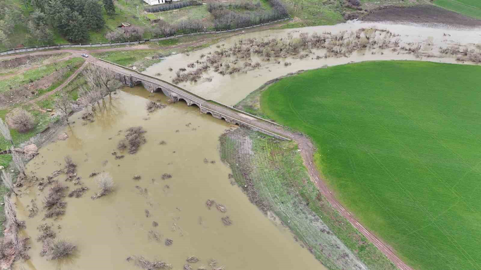 Diyarbakır’da aşırı yağışlar sonrası suyun geri çekilmesiyle balıklar telef oldu
