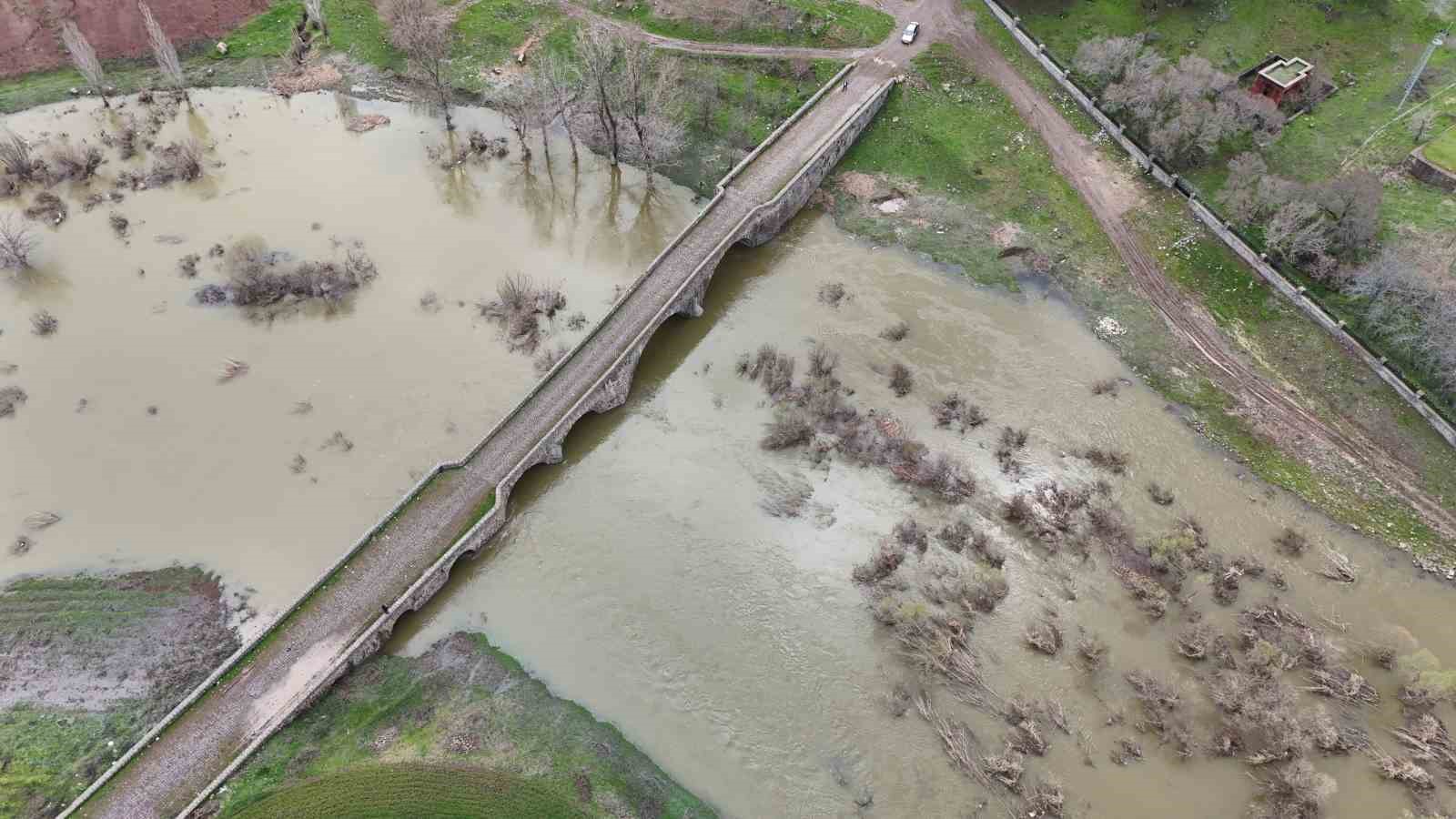 Diyarbakır’da aşırı yağışlar sonrası suyun geri çekilmesiyle balıklar telef oldu
