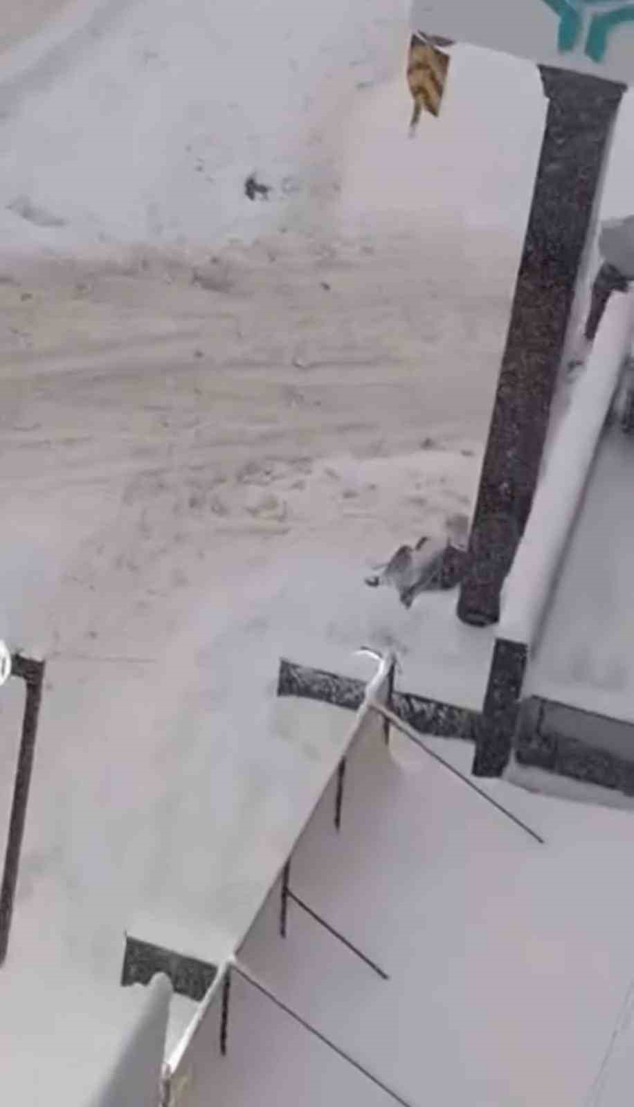 Diyarbakır’da kar çileye dönüştü
