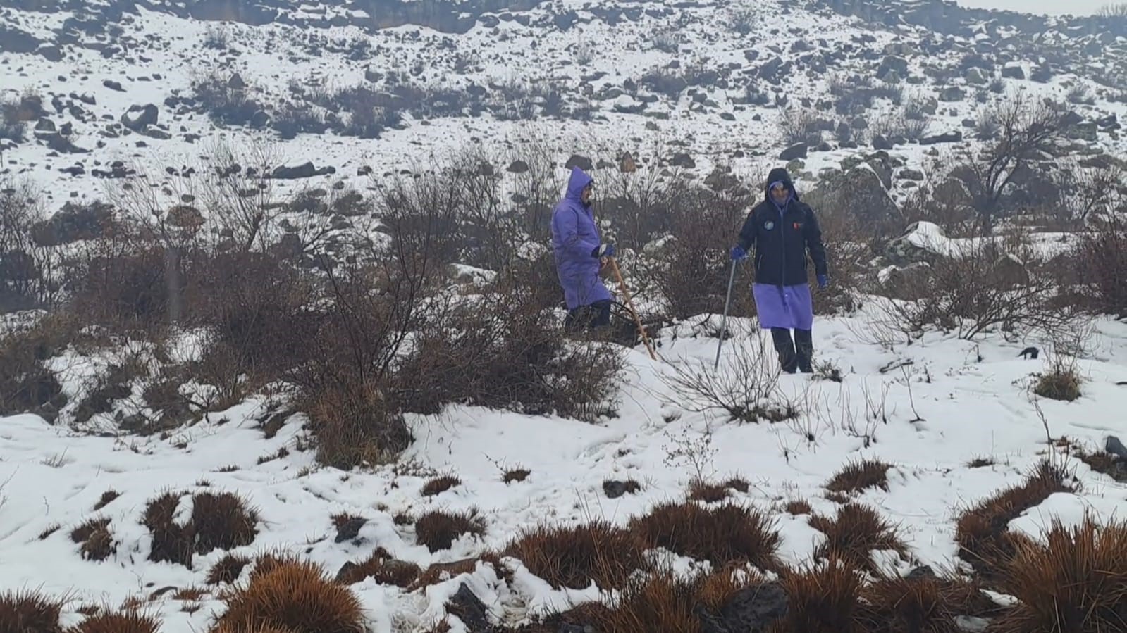 Diyarbakır’da kayıp kadından 8 gündür haber alınamıyor
