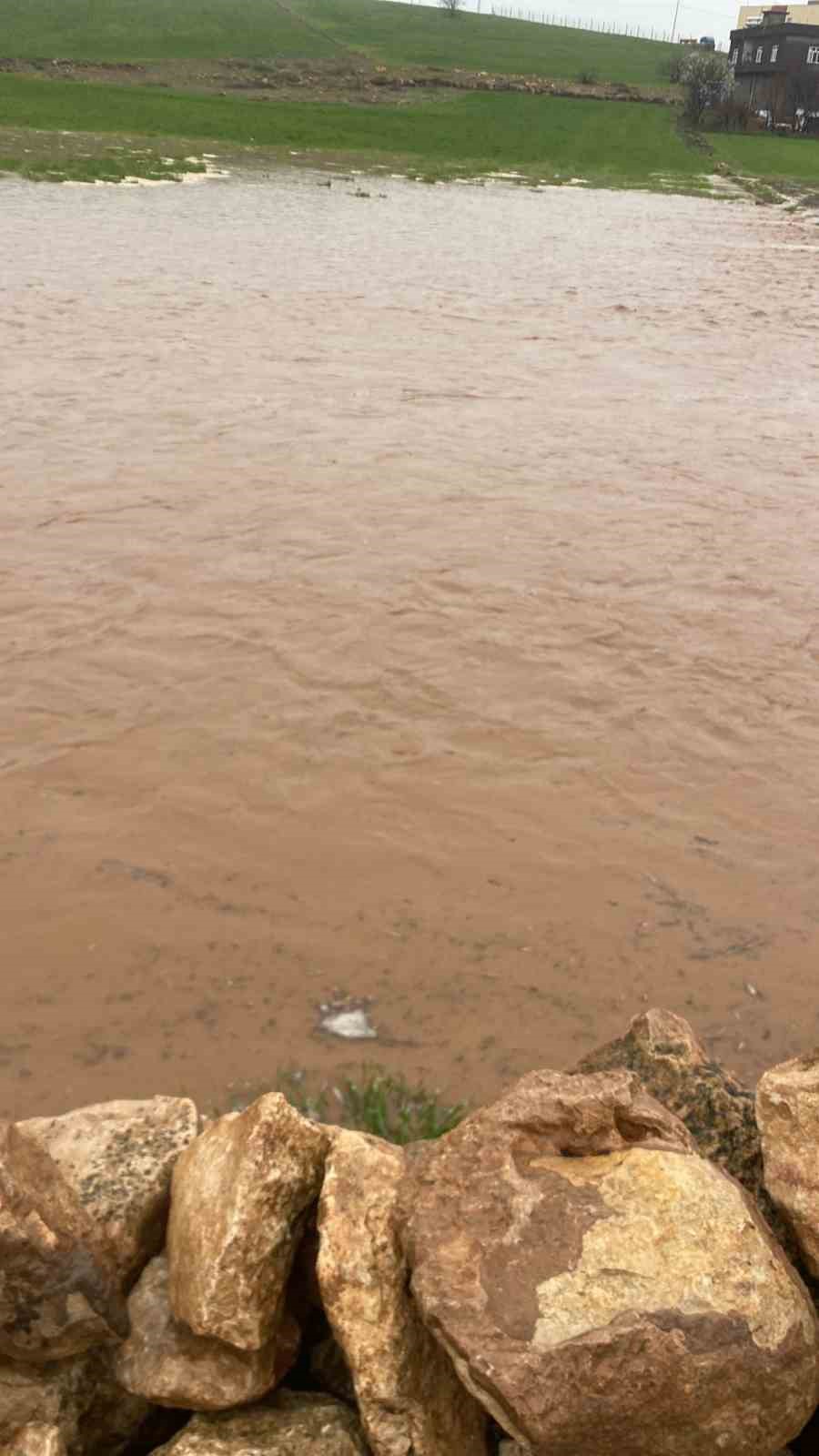 Diyarbakır’da sağanak nedeni ile onlarca koyun telef oldu
