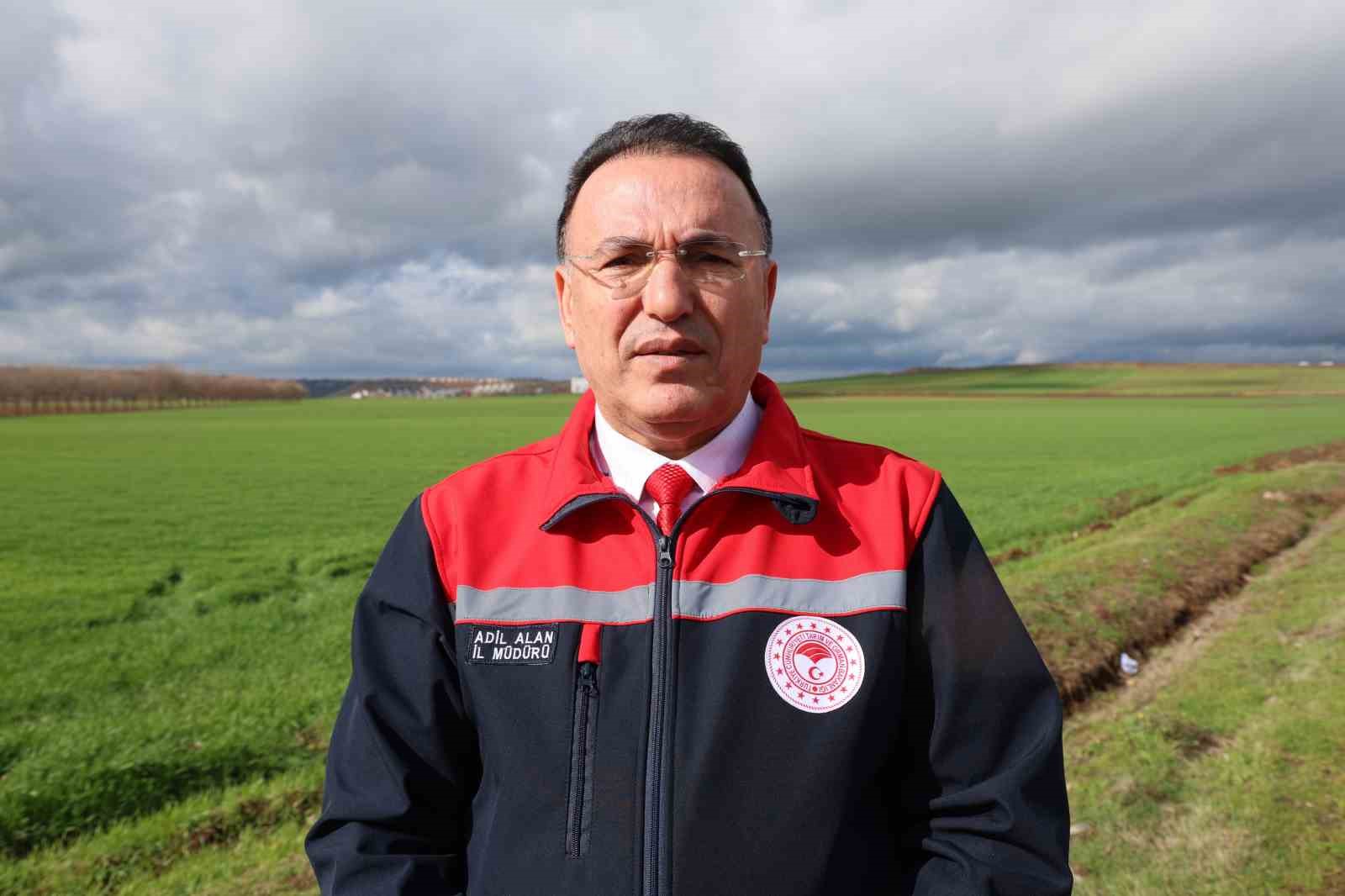 Diyarbakır’da yağışlar yüzde 248 arttı, rekoltede yüzde 50 artış bekleniyor
