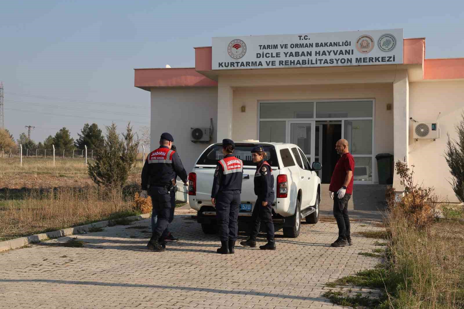 Diyarbakır’ın ekolojik dengesi Çevre ve Doğal Hayatı Koruma Kısmı tarafından korunuyor
