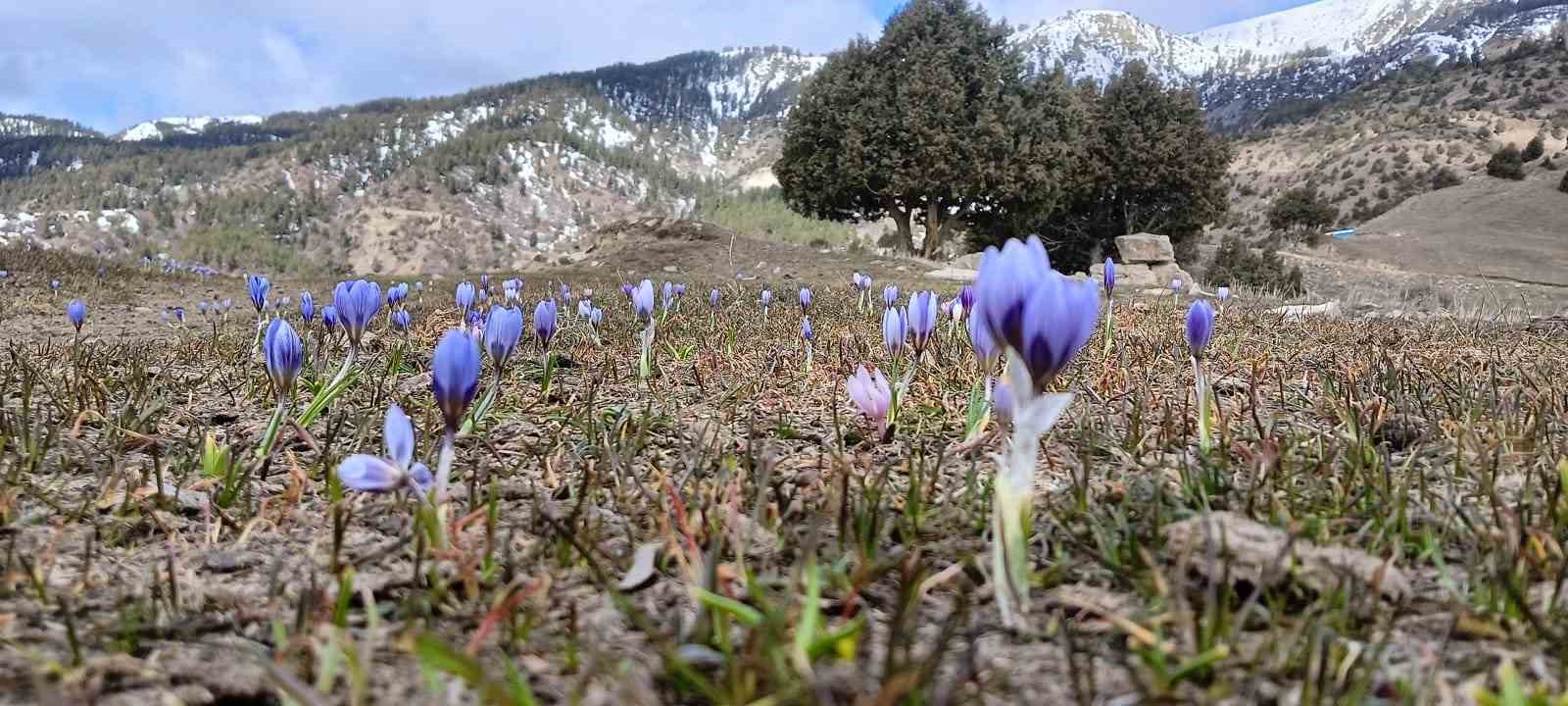 Doğa tutkunlarının bahar yürüyüşü

